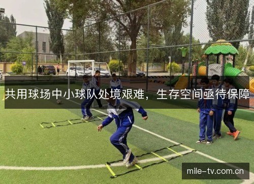 共用球场中小球队处境艰难,生存空间亟待保障 共用球场中小球队处境艰难,生存空间亟待保障